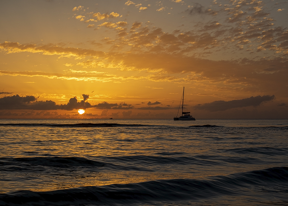 Sehnsucht nach Meer                                                     st-dez-2020-bild1   