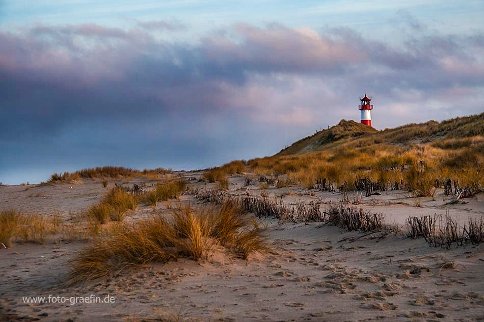 Sehnsucht nach Meer (Sylt)