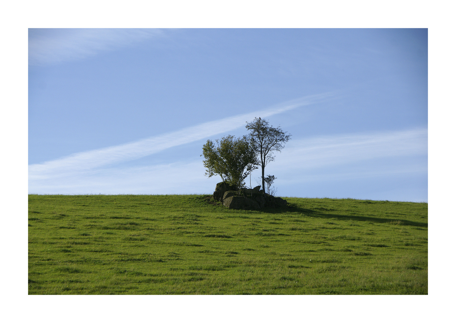 Sehnsucht nach Ruhe im Frühling.