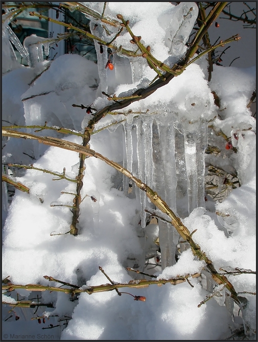 Sehnsucht nach Schnee...