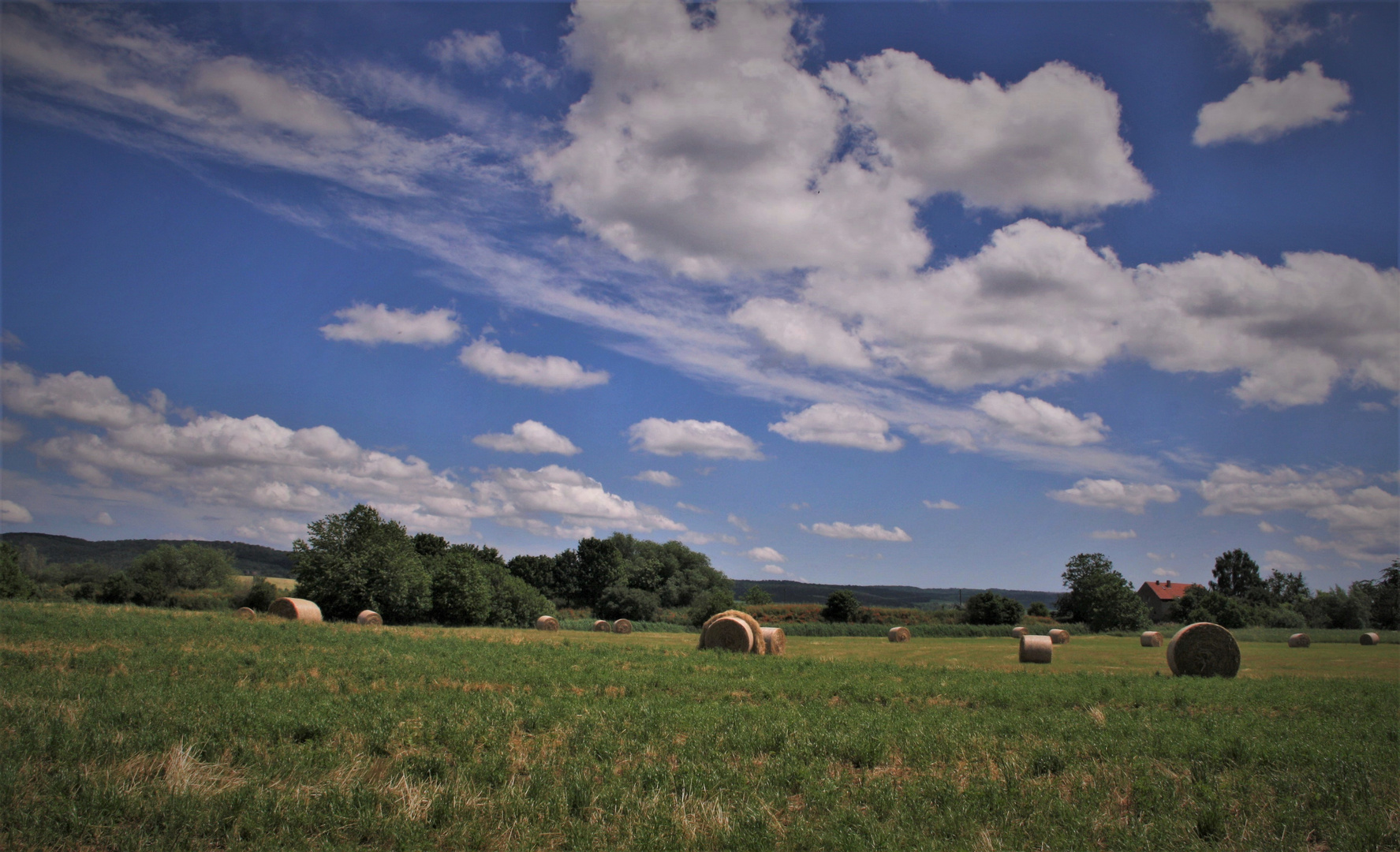 Sehnsucht nach Sommer