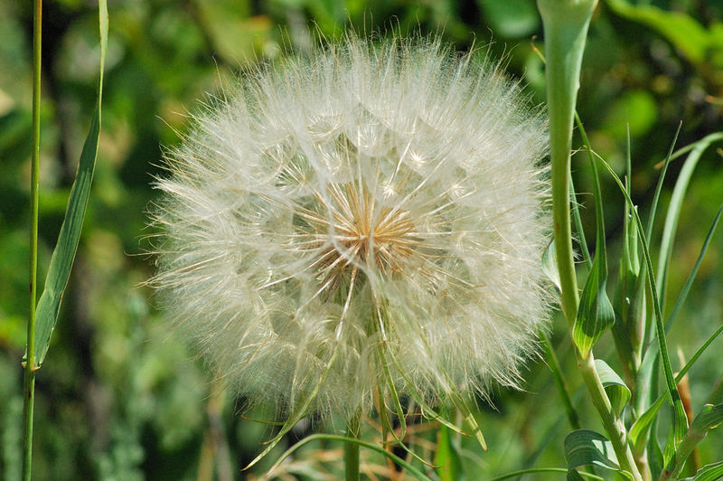 Sehnsucht nach Sommer