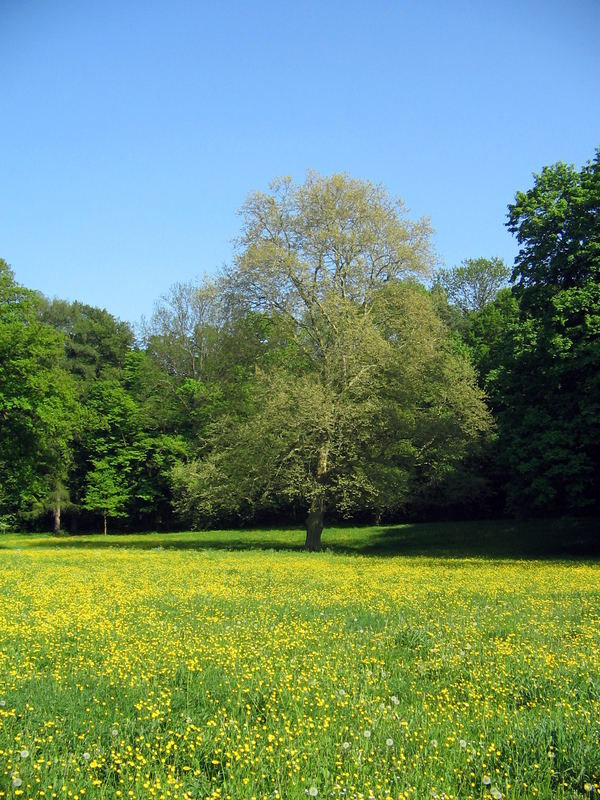 Sehnsucht nach Sommer