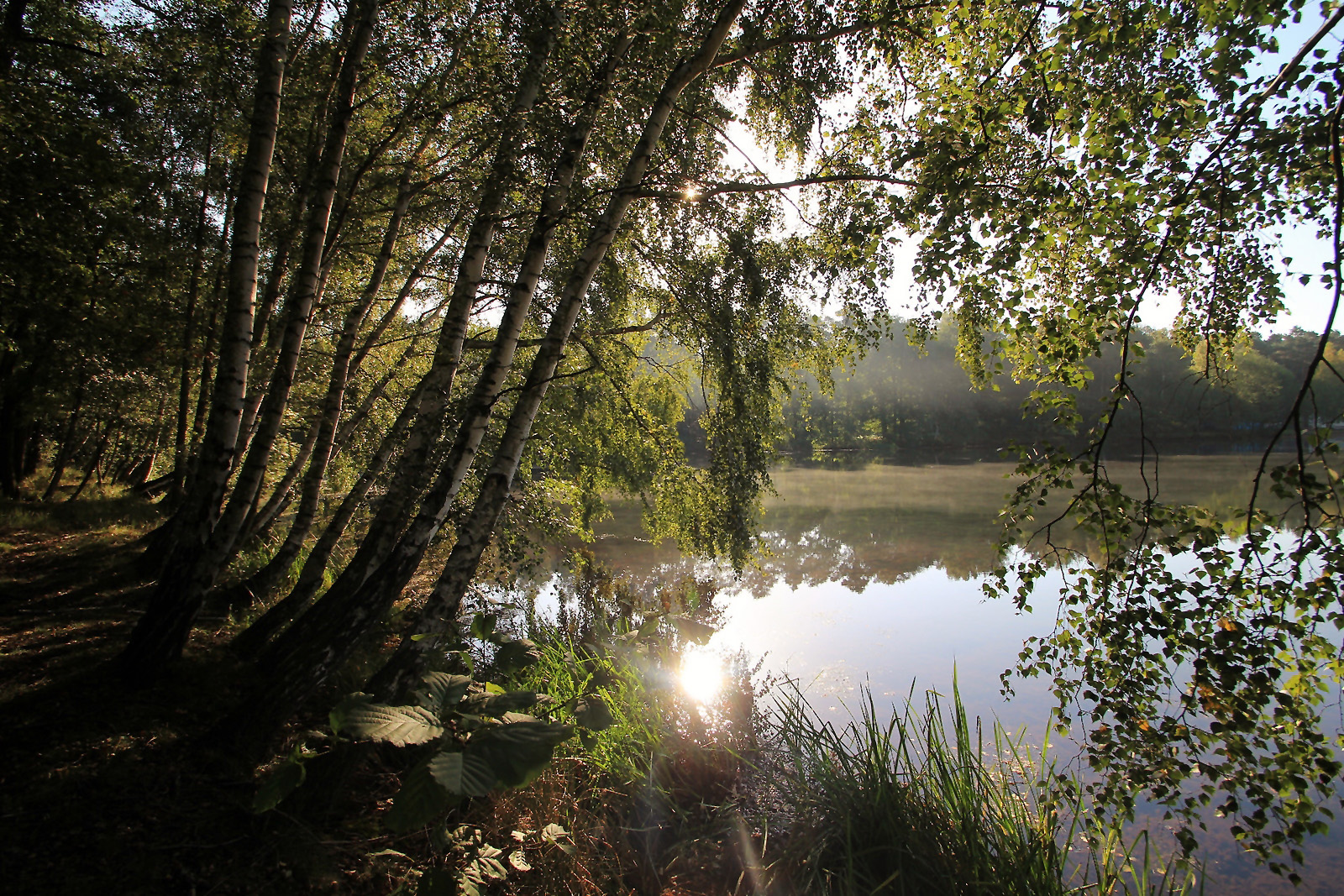 Sehnsucht nach Sommer