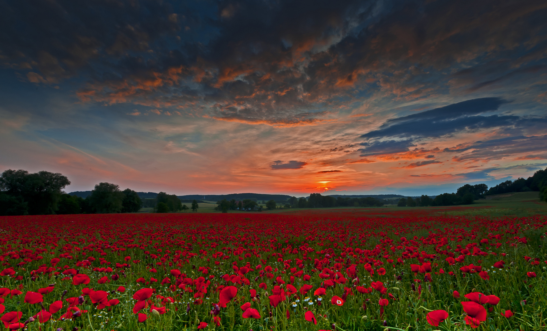 Sehnsucht nach Sommer Foto & Bild landschaft, natur Bilder auf