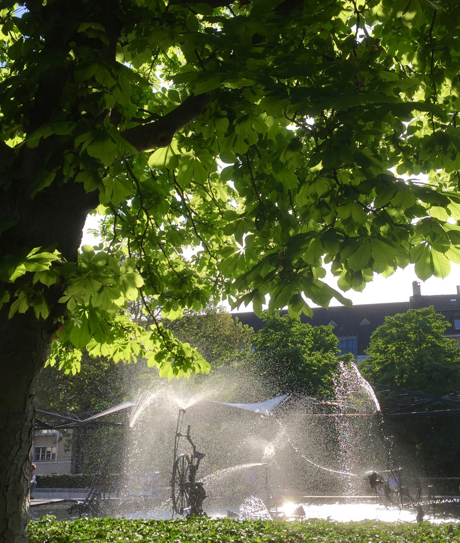  Sehnsucht nach Sommer?