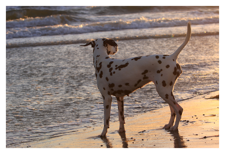 Sehnsucht nach Sommer, Sonne Strand und Meer