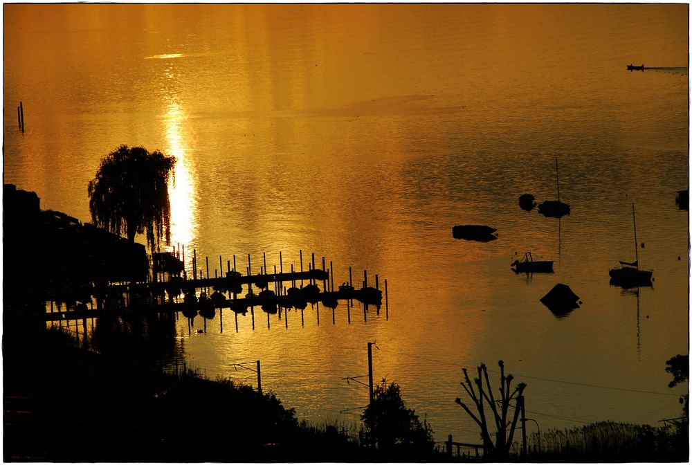  Sehnsucht nach Sonne  Foto Bild landschaft bach 