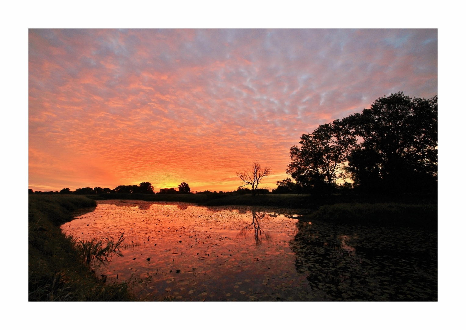 Sehnsucht nach Sonne  Foto Bild sonnenaufg nge himmel 