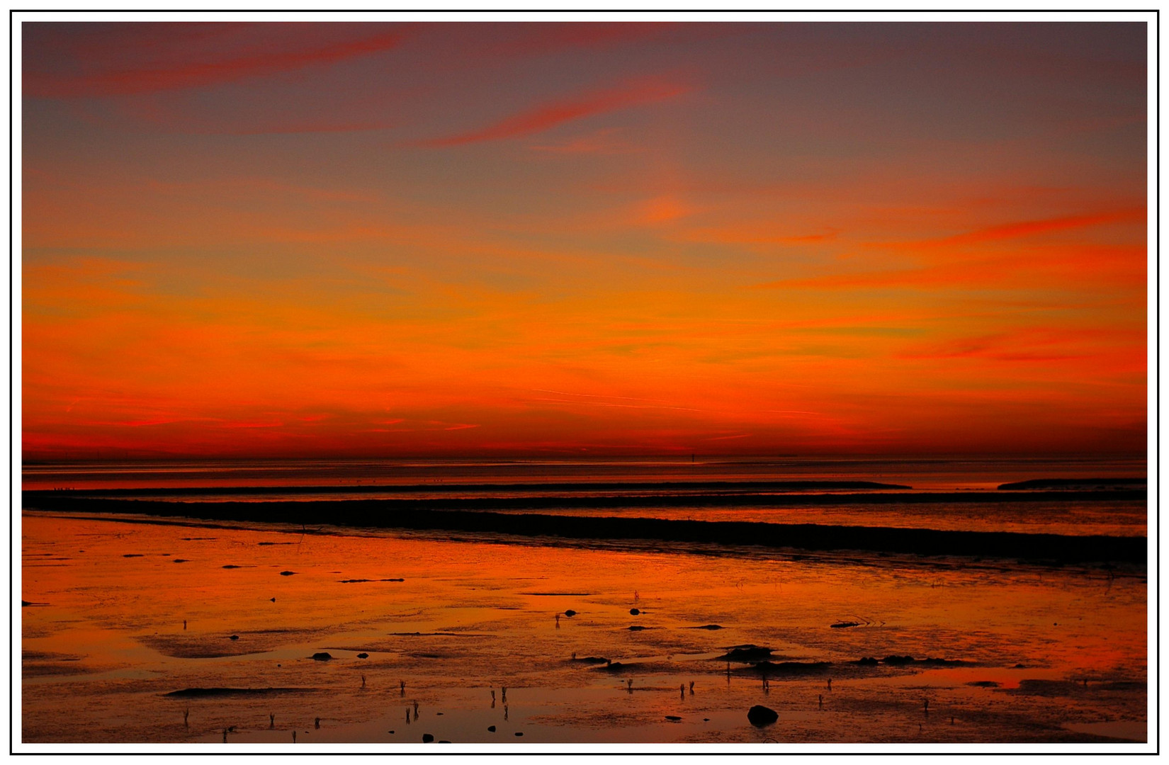 Sehnsucht nach Wärme.....Nationalpark Wattenmeer bei Norddeich Ostfriesland