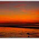 Sehnsucht nach Wärme.....Nationalpark Wattenmeer bei Norddeich Ostfriesland