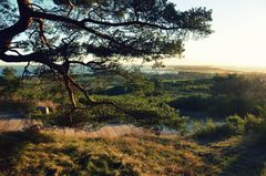 Sehnsucht Natur