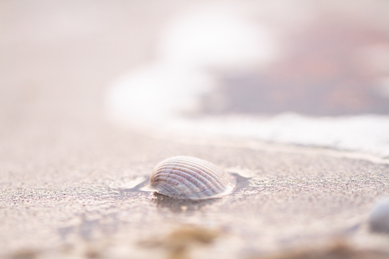 Sehnsucht Ostsee