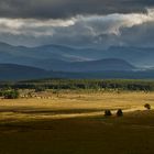 Sehnsucht Schottland