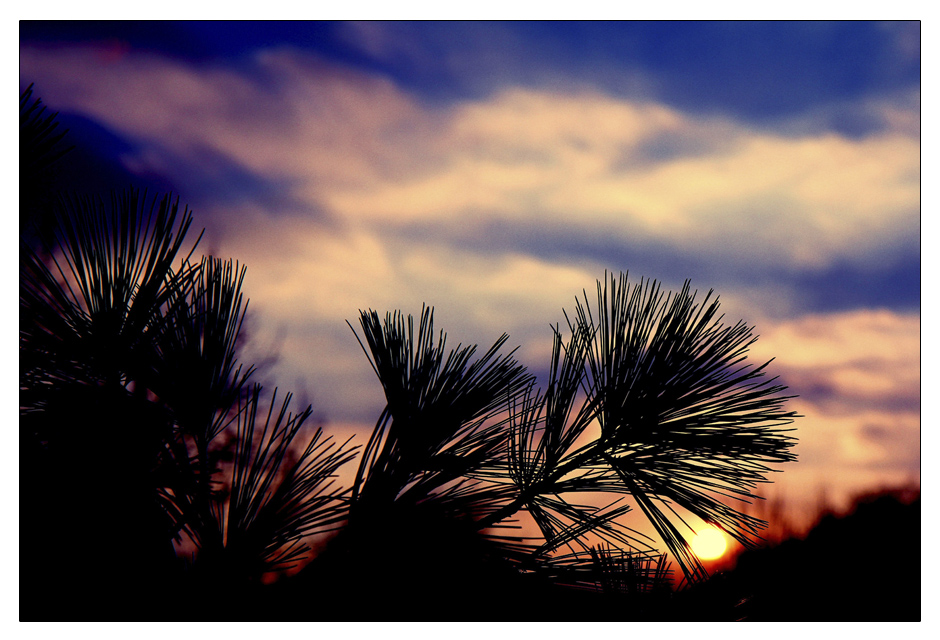 SEHNSUCHT.nach.Sommmerabend.Sonnenuntergängen