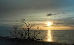 Sehnsuchtsblick am Abend