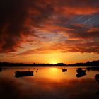 Sehnsucht...Sonnenaufgang am Schöhsee