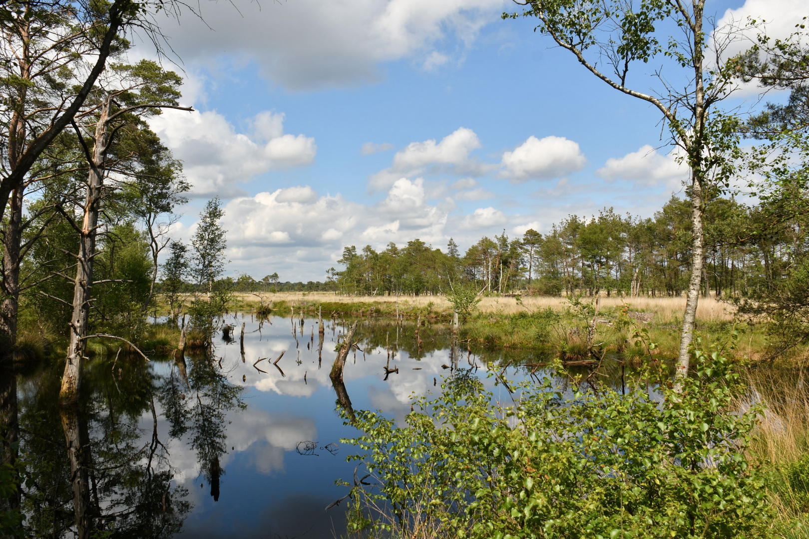 Sehnsuchtsort Moor