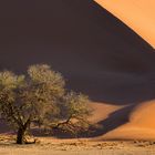 Sehnsuchtsort Wüste