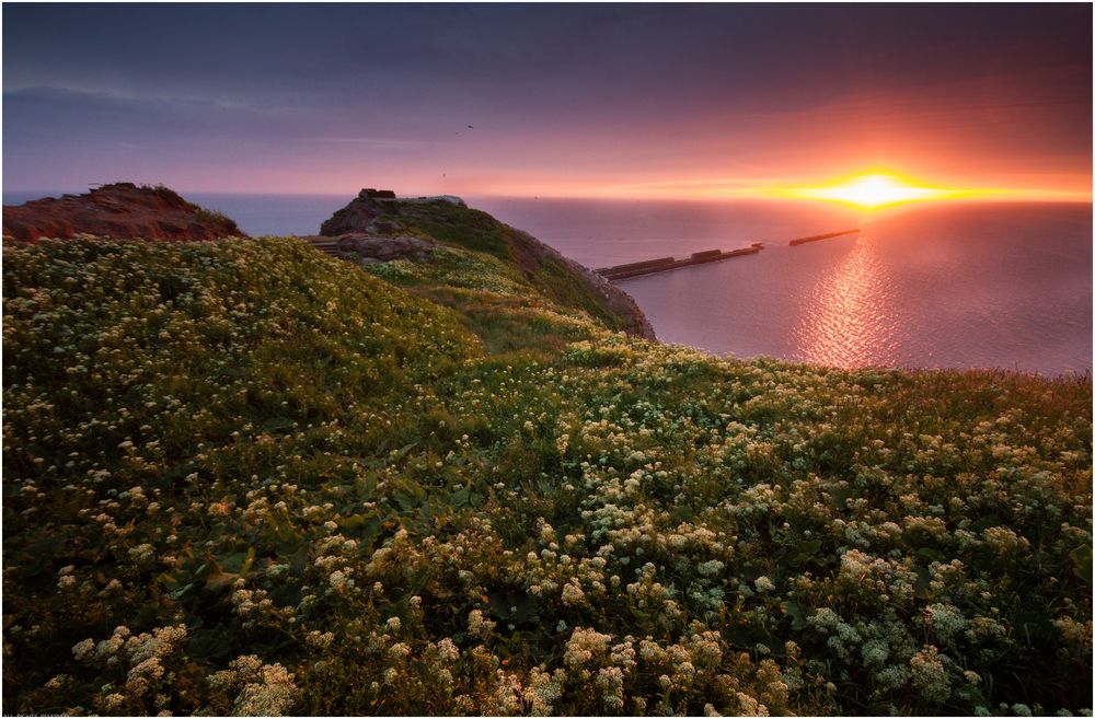 Sehnsuchtsorte 2020 : Helgoland 