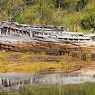 sehr altes Fischerboot in der Bucht von Sildpollnes / Norwegen