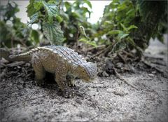 sehr altes Tierchen 