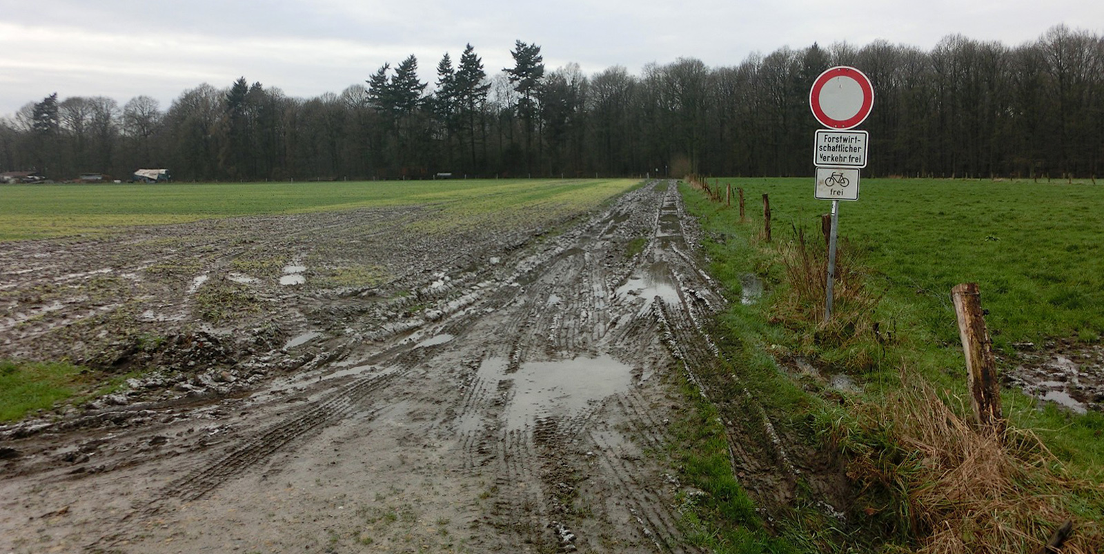 Sehr feuchter Winter auf dem Lande