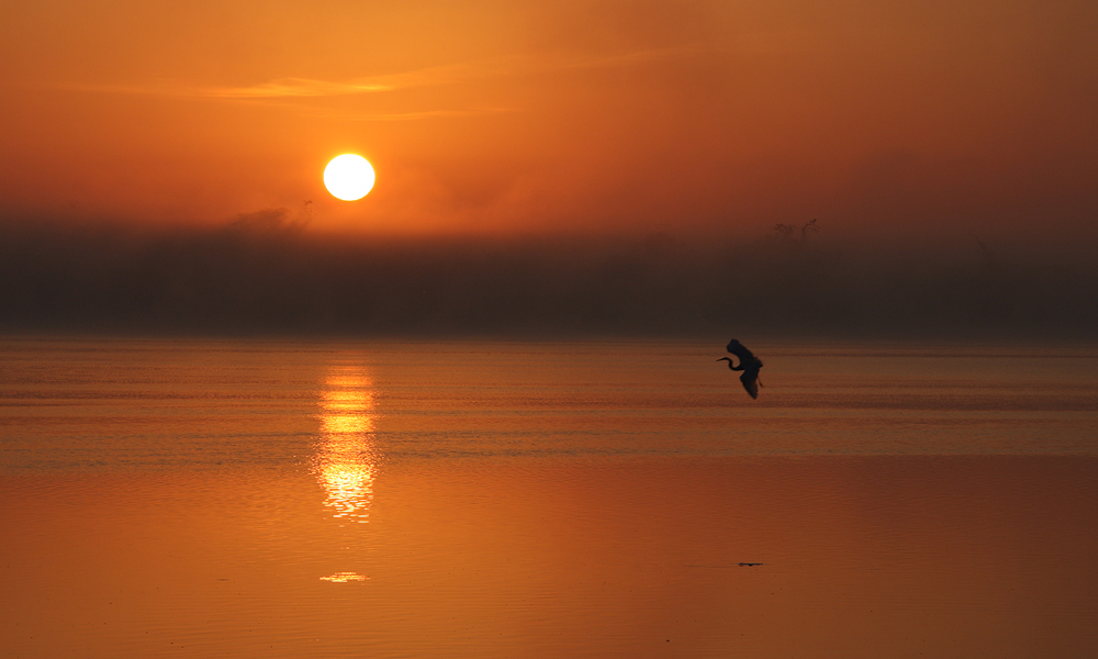 Sehr früh Morgens an der Lagune.