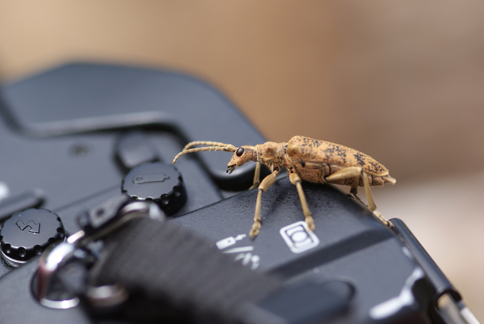 sehr interessiert an der Fotografie