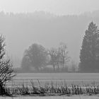 Sehr kalter Seeblick