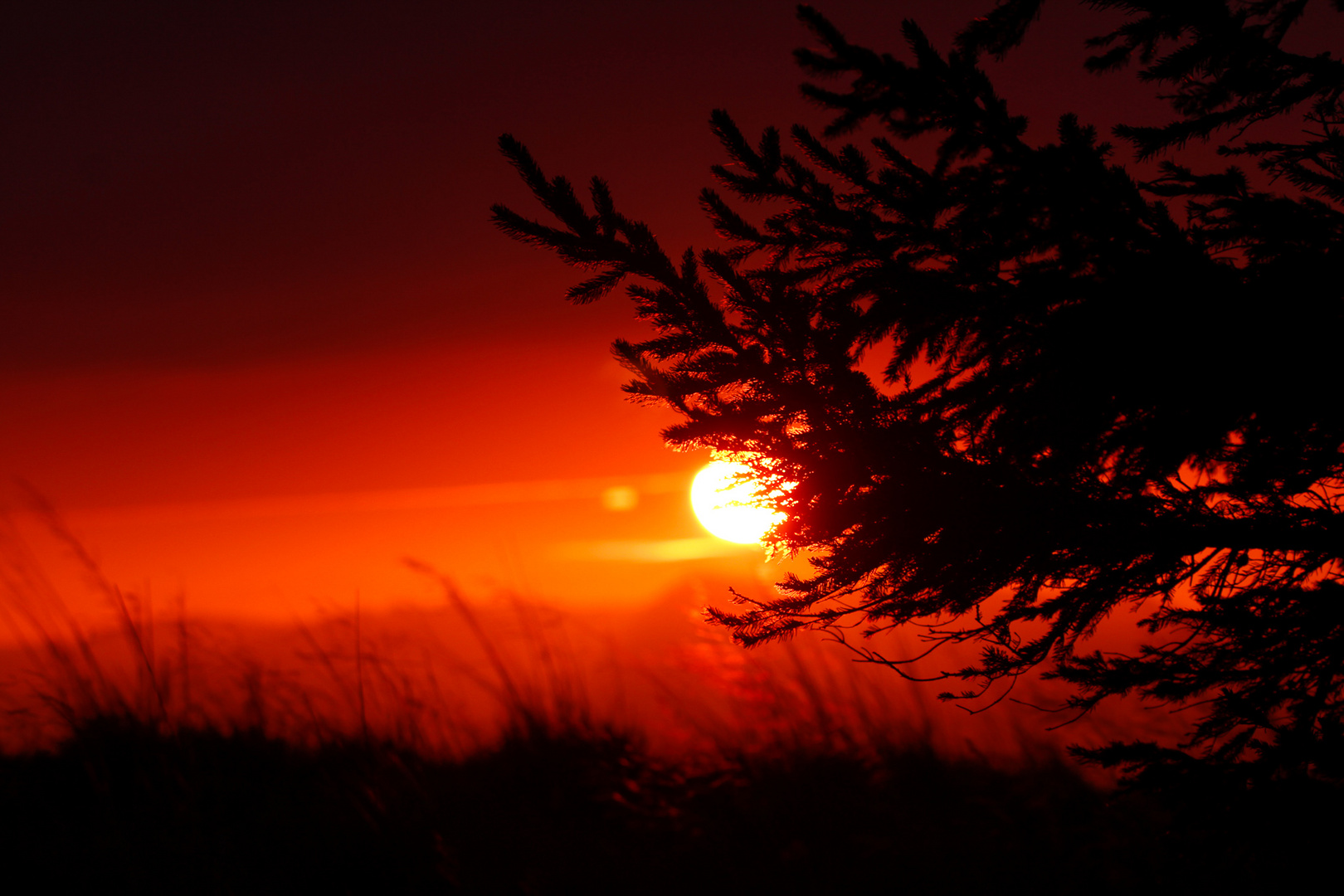 Sehr kurzer Sonnenaufgang im Schwarzwald