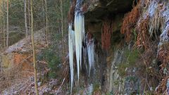 Sehr lange Eiszapfen gab es auch im Bielatal, wobei hier die Länge....