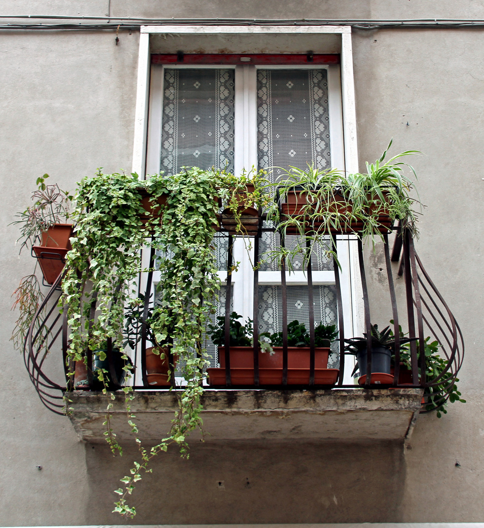 Sehr schöner Balkon mit Blumen in Bardolino Italien Foto & Bild