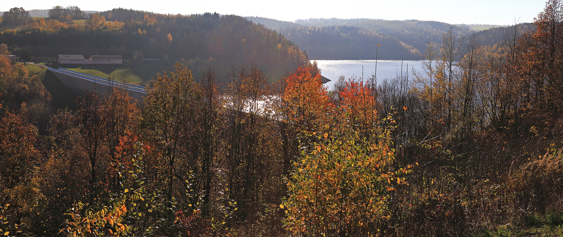 Sehr schwierige Gegenlichtsituation gestern Vormittag an der Talsperre...