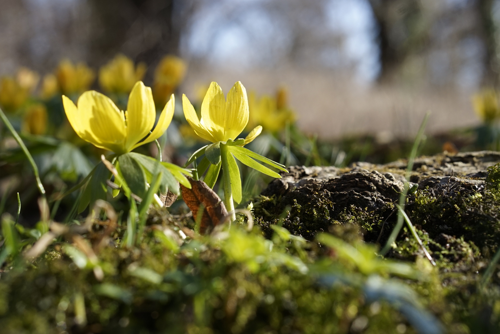 Sehr sonniger Tag!!! 