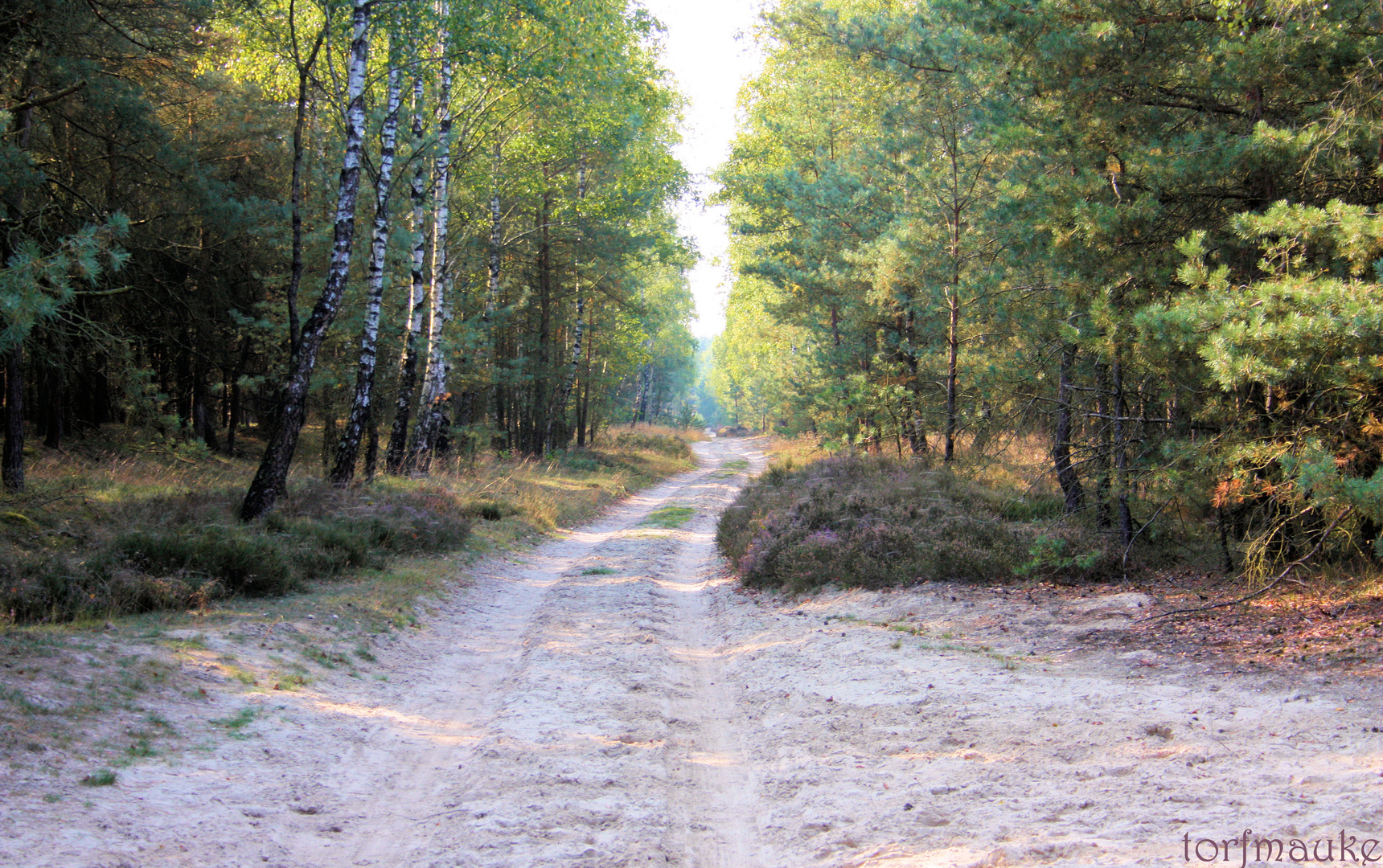 Sehr starke Einladung zum Wandern, Joggen oder Nordic Walking