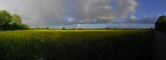 sehr viel Gelb mit Regenbogen