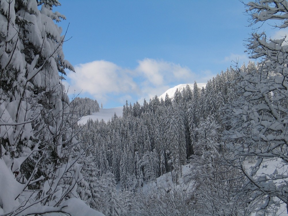 Sehr viel Schnee - 1