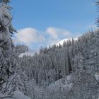 Sehr viel Schnee - 1