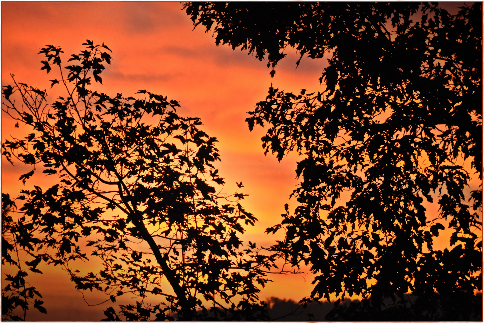 Seht, der Himmel scheint zu glühen!