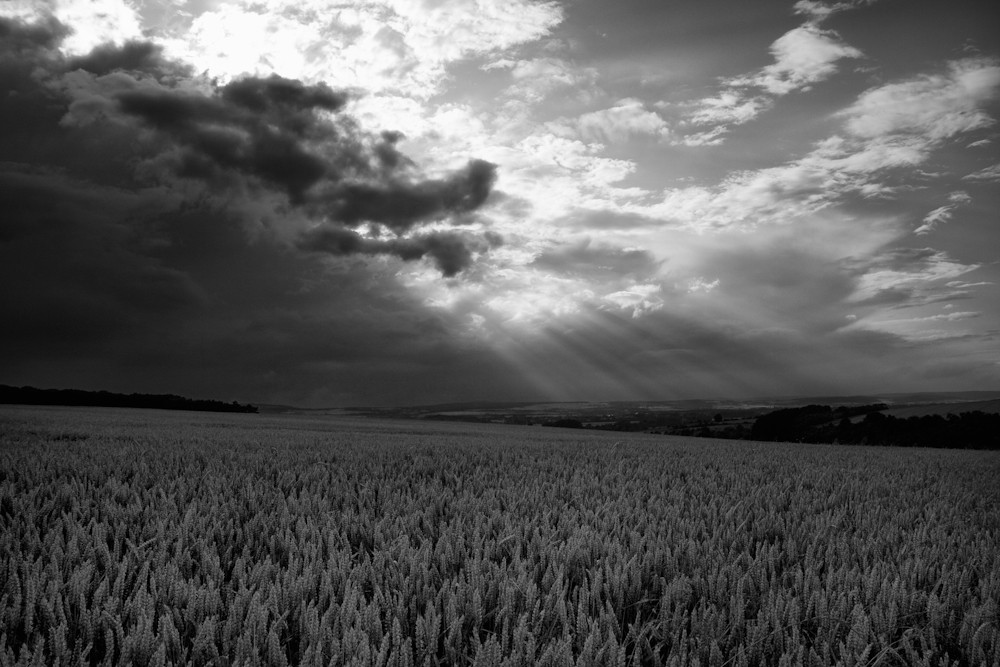 Seht der Wind treibt Regen über's Land