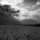 Seht der Wind treibt Regen über's Land