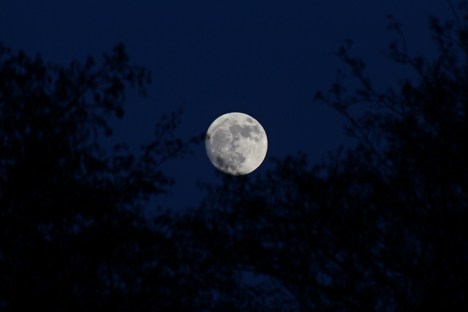 "Seht Ihr den Mond dort stehen?" -ist mehr als halb zu sehen