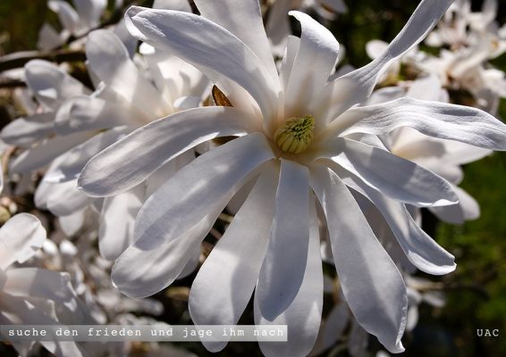 SEHVERGNUEGEN 25 0088