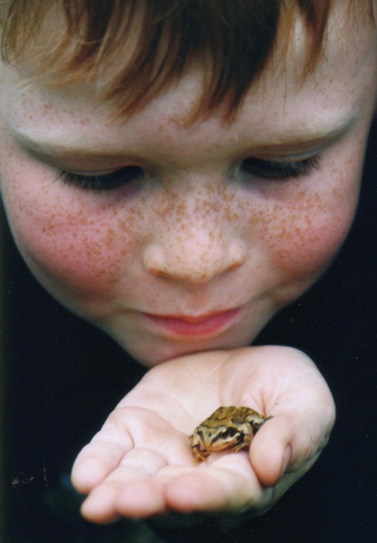 Sei ein Frosch, Karl