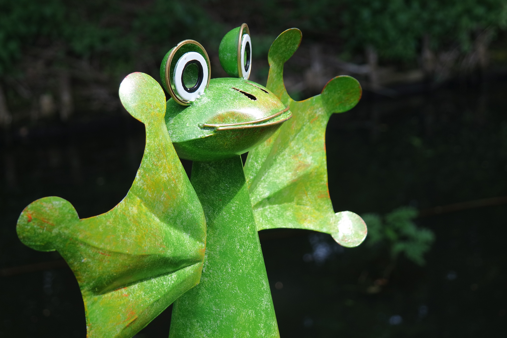 Sei (k)ein Frosch!