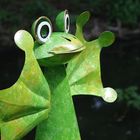 Sei (k)ein Frosch!