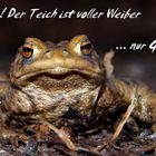 Sei kein Frosch...