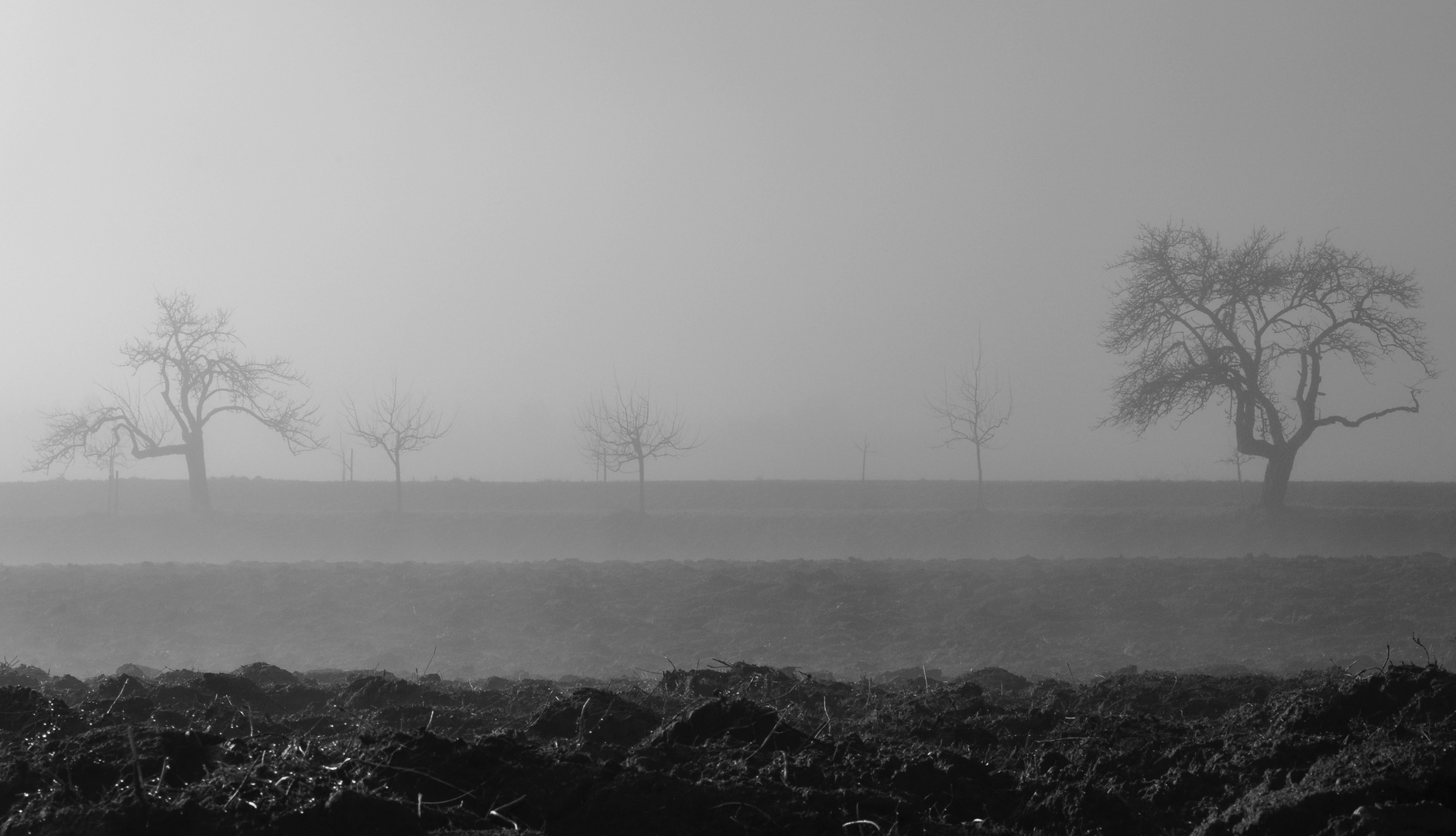 Sei wie ein Baum in den Wellen des Meeres...