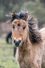 sei wild und wunderbar - aber nehme auch Rücksicht auf die die es nicht sein wollen/können